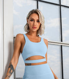 Seamless 2 Piece Yoga Sets
