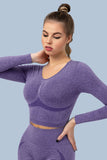 Superfit breathable Seamless Crop Tops Long sleeves