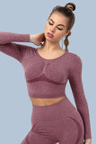 Superfit breathable Seamless Crop Tops Long sleeves