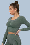 Superfit breathable Seamless Crop Tops Long sleeves